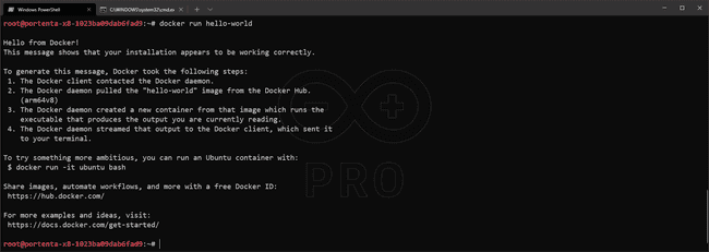 Docker CLI running Hello World app