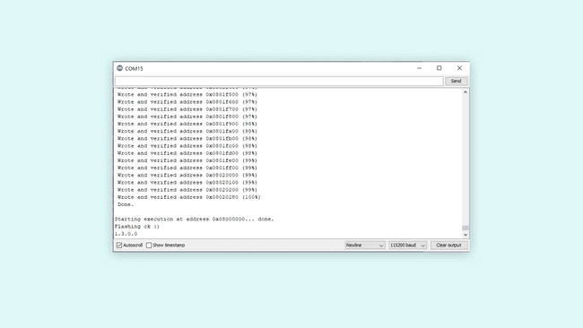 Arduino IDE serial monitor after firmware update