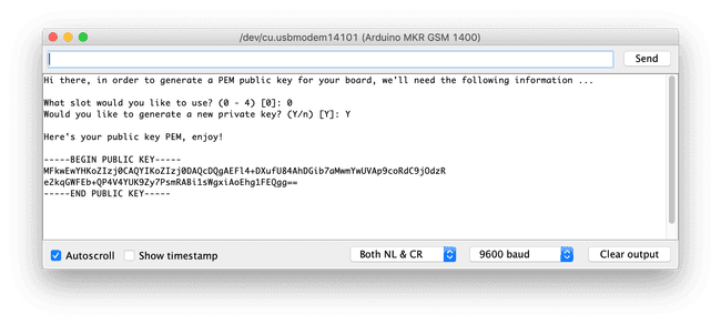 Public key shown in the Serial Monitor.